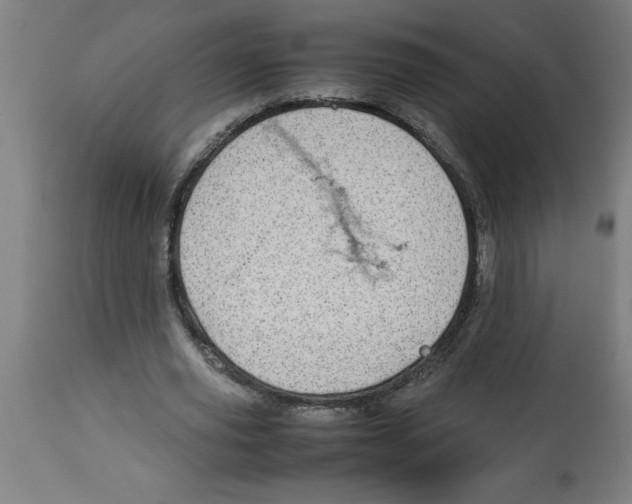 X0000112790629200909181514