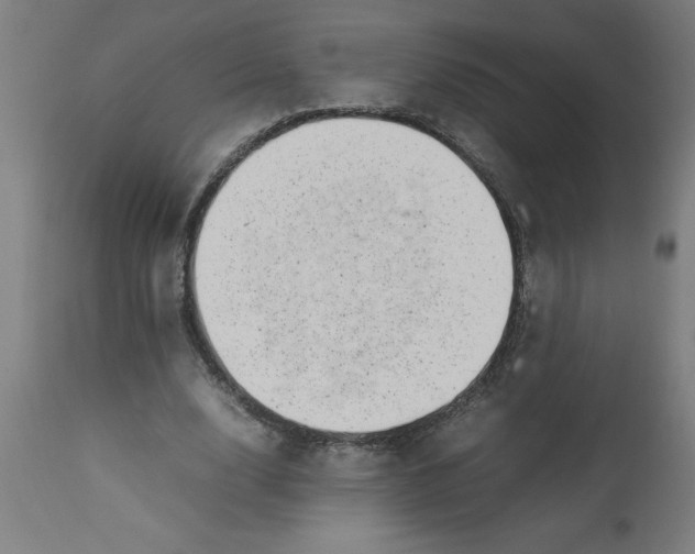 X0000112790632200909181514