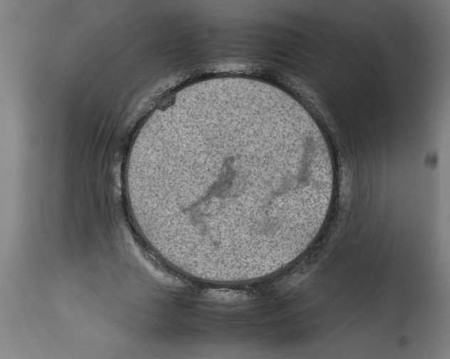 X0000112790633200909181514