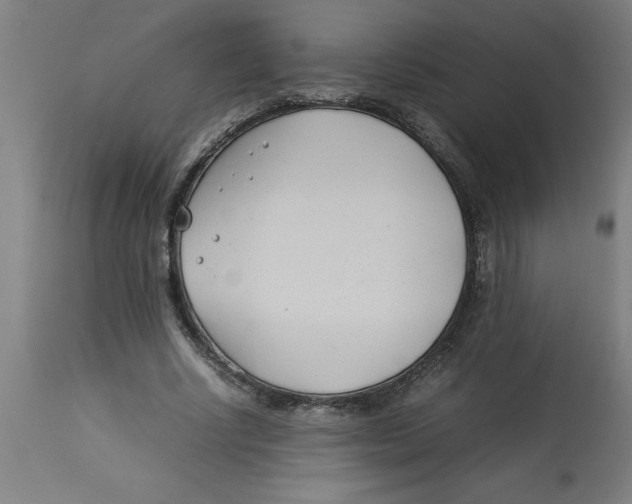 X0000112790634200909181514