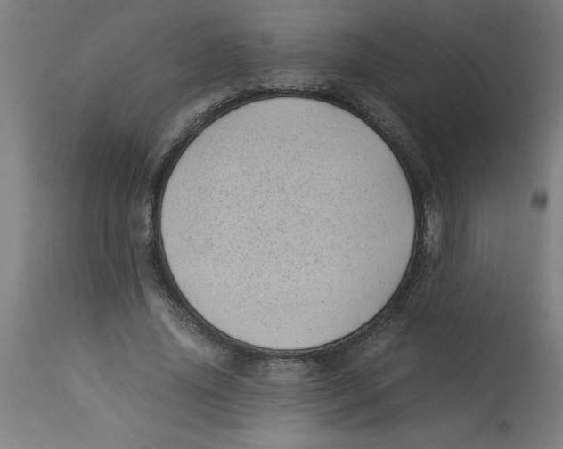 X0000112790636200909181514