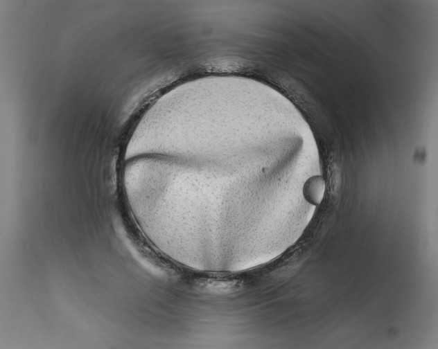 X0000112790638200909181514