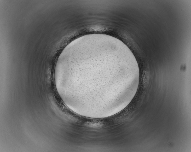 X0000112790639200909181515