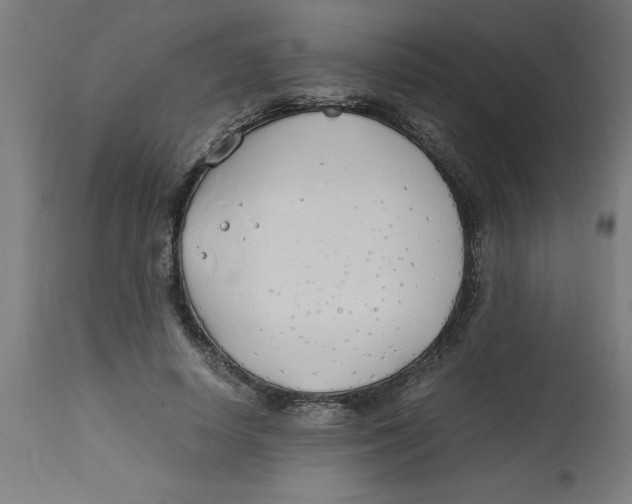 X0000112790642200909181515