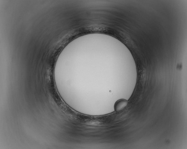 X0000112790643200909181515