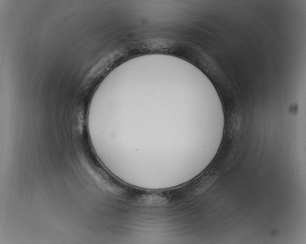 X0000112790644200909181515