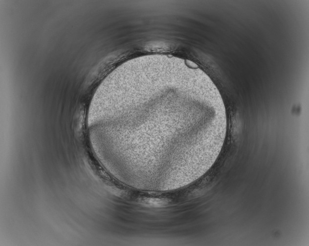 X0000112790645200909181515