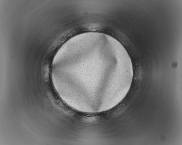 X0000112790646200909181515