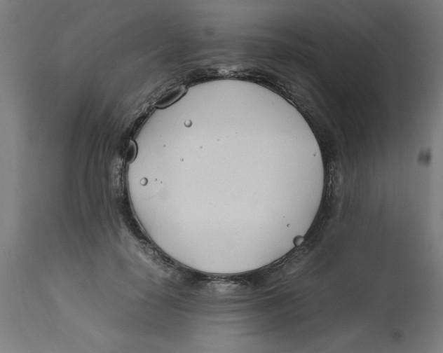 X0000112790650200909181515