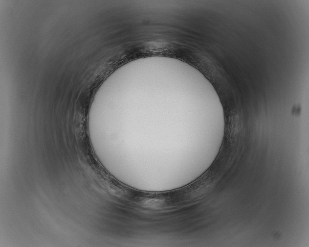 X0000112790653200909181515