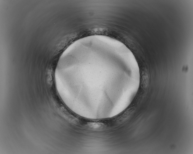 X0000112790654200909181515