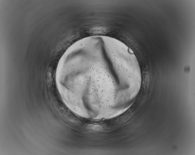 X0000112790655200909181515