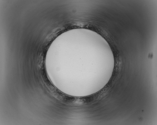 X0000112790656200909181515