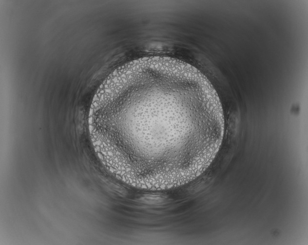 X0000112790659200909181515