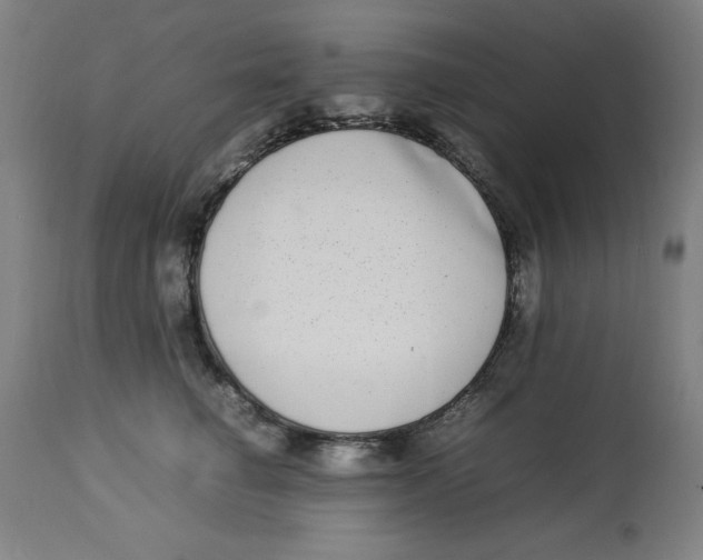 X0000112790662200909181515