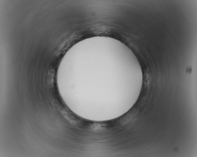 X0000112790664200909181515