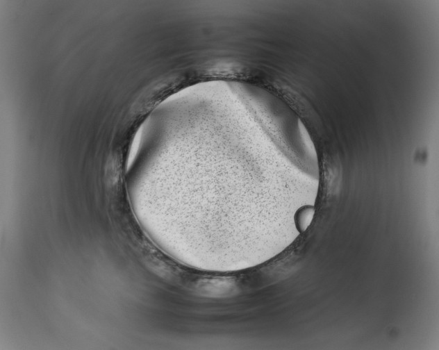 X0000112790665200909181515