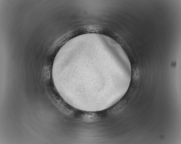 X0000112790666200909181515