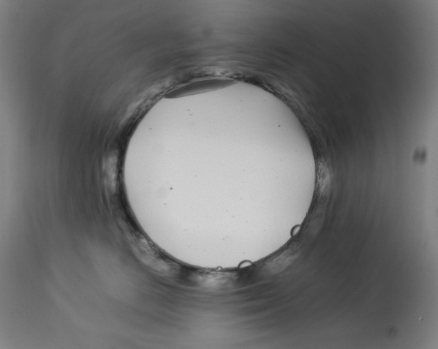 X0000112790670200909181515