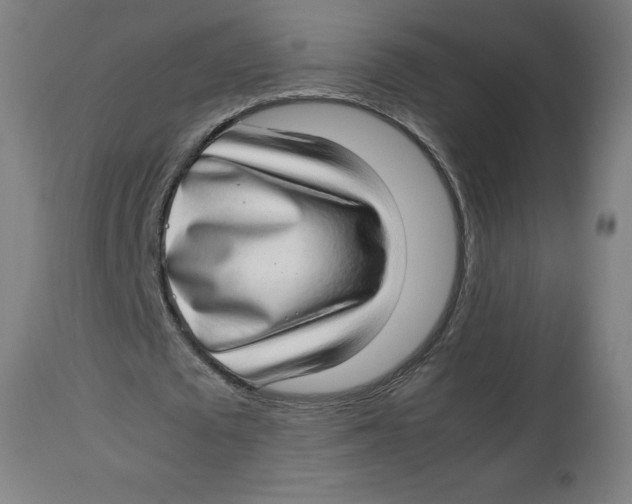 X0000112790673200909181514