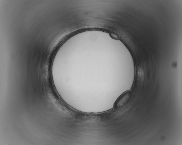 X0000112790676200909181514