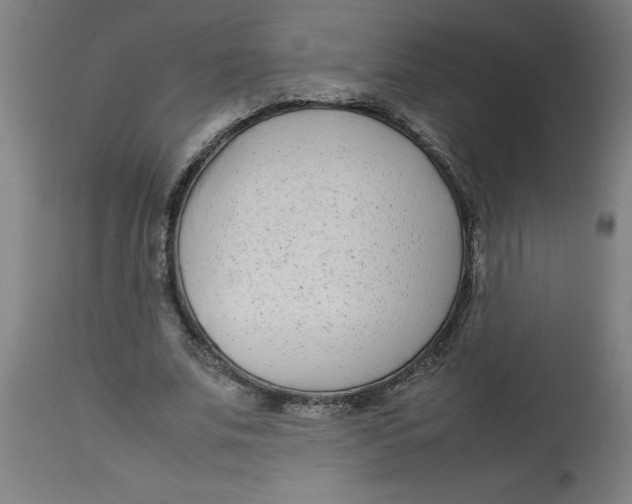 X0000112790679200909181514