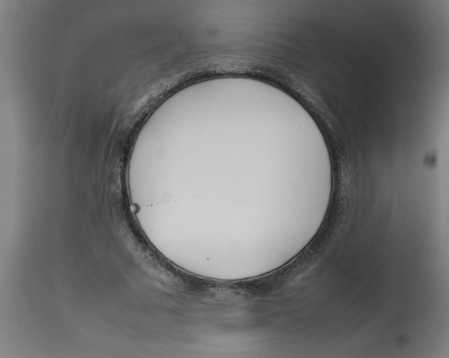 X0000112790681200909181514