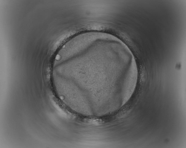 X0000112790683200909181514