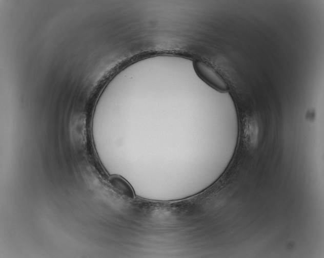 X0000112790684200909181514