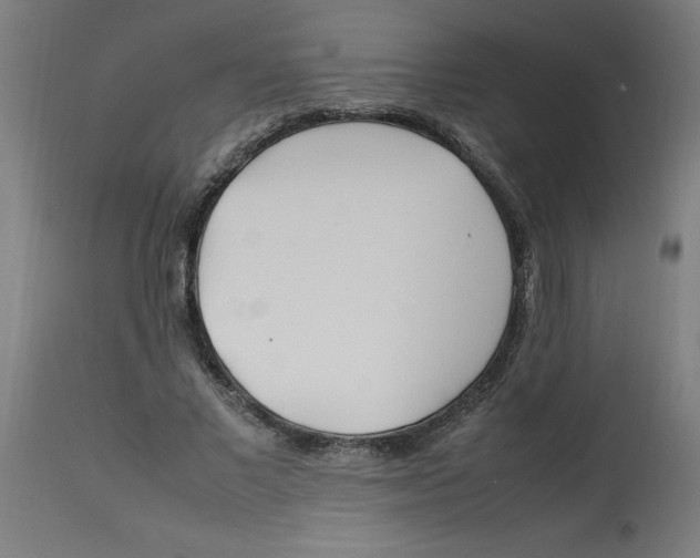 X0000112790685200909181514