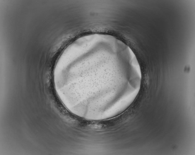 X0000112790687200909181514