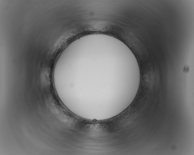 X0000112790688200909181514