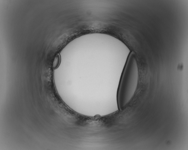 X0000112790689200909181514