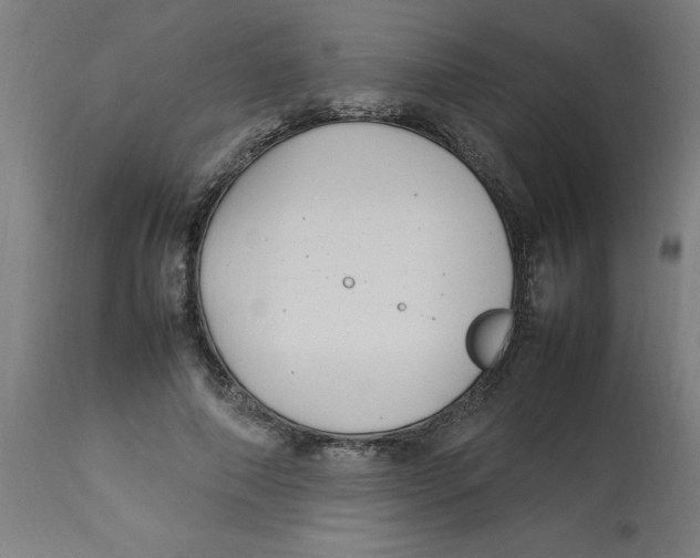 X0000112790690200909181514