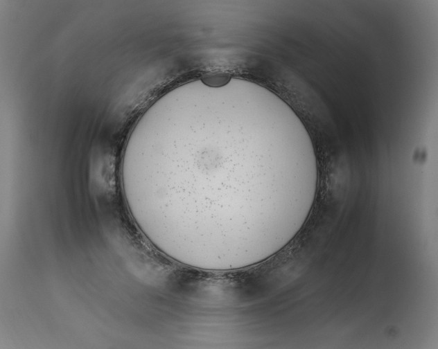 X0000112790696200909181514