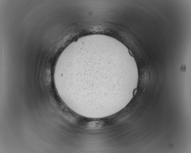 X0000112790700200909181514