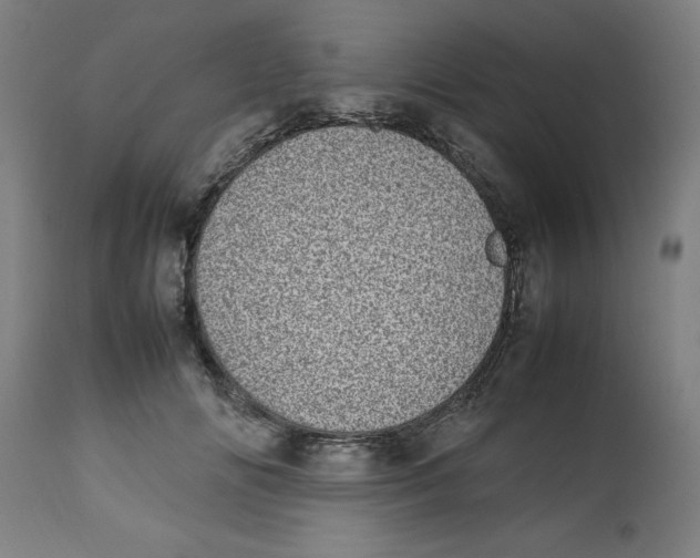 X0000112790702200909181514