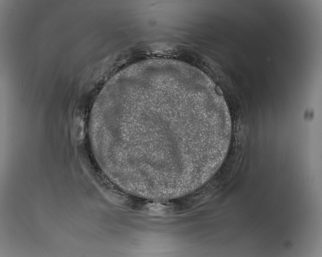 X0000112790703200909181514