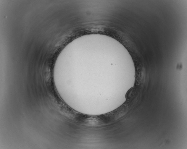 X0000112790704200909181514