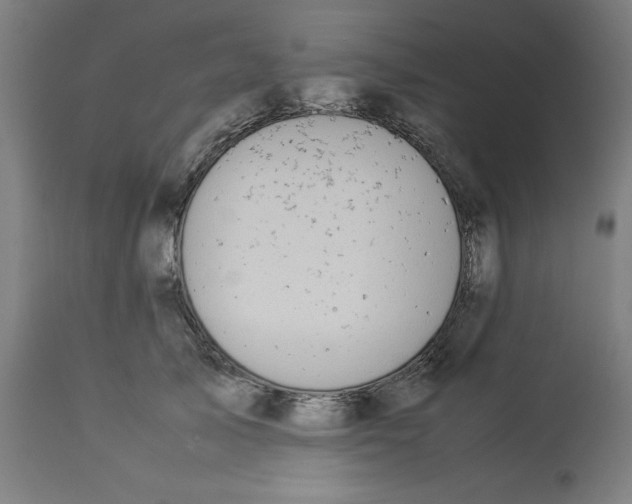 X0000112790705200909181514