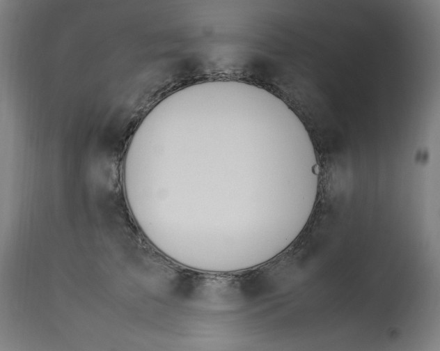 X0000112790709200909181514