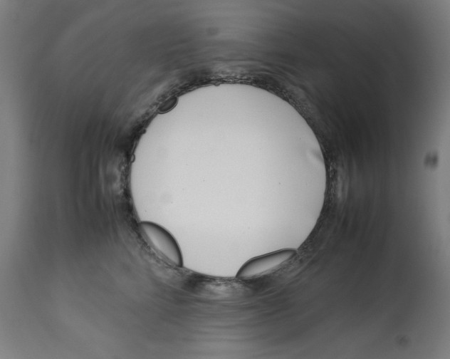 X0000112790712200909181514