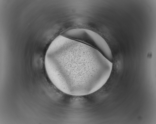 X0000112790716200909181514