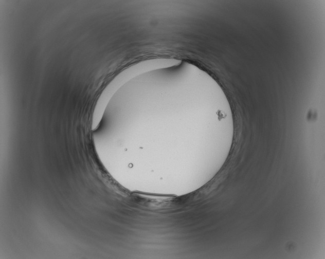 X0000112790720200909181514