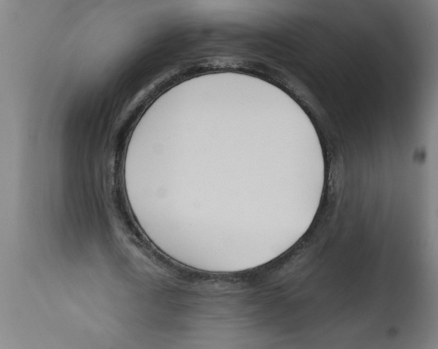 X0000112790722200909181513