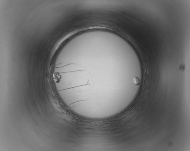 X0000112790724200909181513