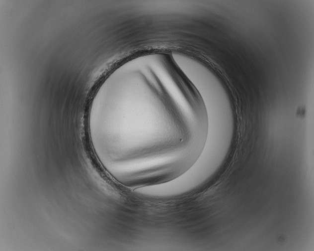 X0000112790725200909181513