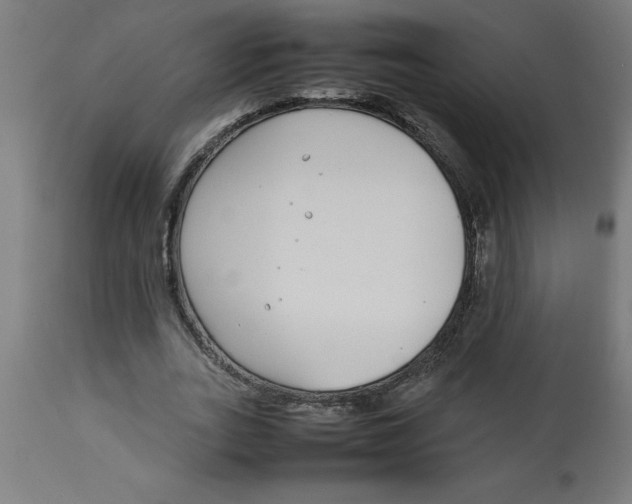 X0000112790727200909181513