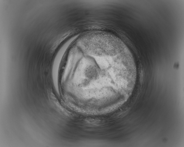 X0000112790729200909181513