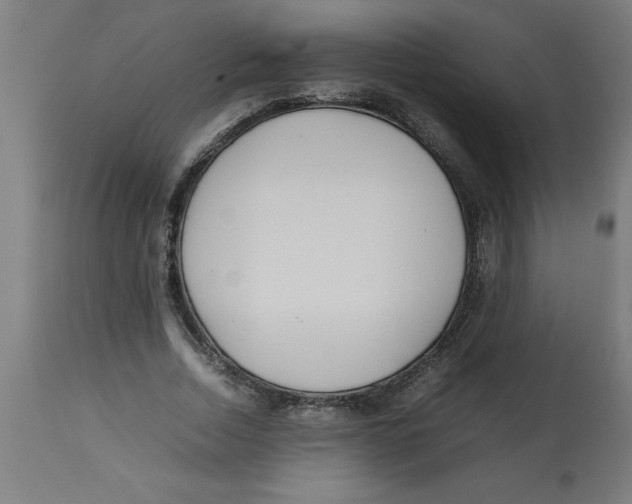 X0000112790730200909181513